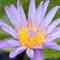Image 05